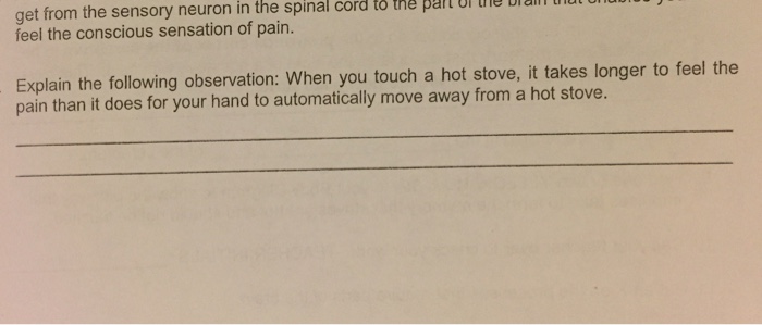 Question: Get from the sensory neuron in the spinal cord to the  feel the conscious sensation of pain. Expl...