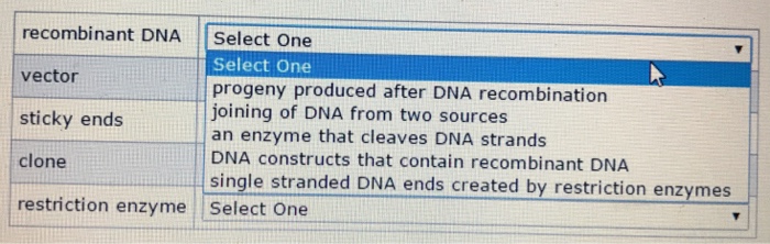 Question: Recombinant DNA Select One Select one Vector progeny produced after DNA recombination joining of ...