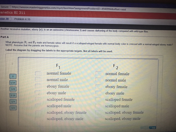 Question: Secure l https://session.masteringgenetics.com/ 49109 next Genetics BI 311 sign 08 Problem 4.15 A...