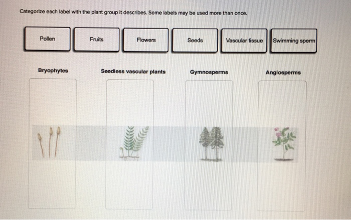 Question: Categorize each label with the plant group it describes. Some labels may be used more than once. ...