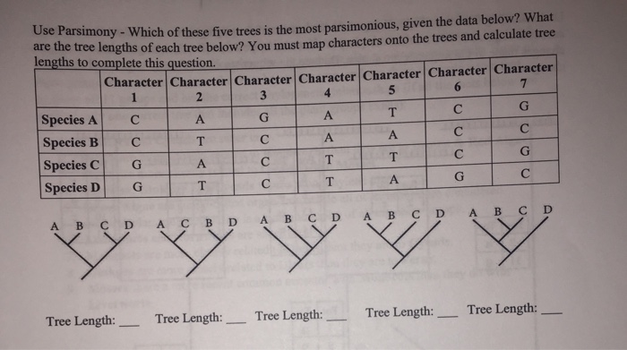 Question: Use Parsimony - Which of these five trees is the most parsimonious, given the data below? What ar...