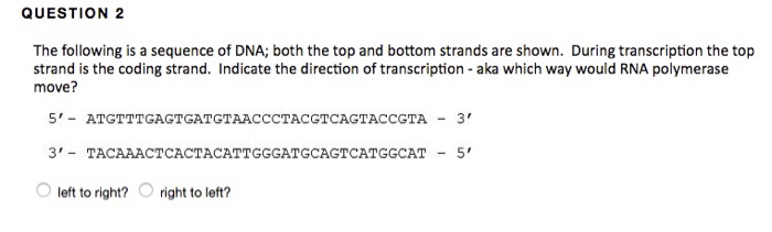 Question: The following is a sequence of DNA: both the top and bottom strands are shown. During transcripti...