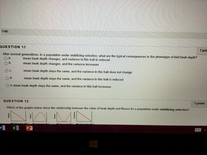 What is population growth image