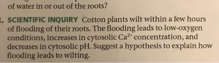 Question: SCIENTIFIC INQUIRY Cotton plants wilt within a few hours of flooding of their roots. The flooding...