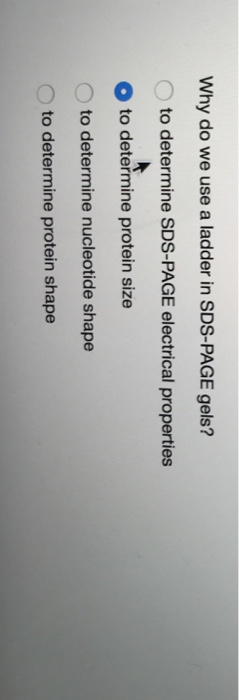 Question: Why do we use a ladder in SDS-PAGE gels?  to determine SDS-PAGE electrical properties  to determi...