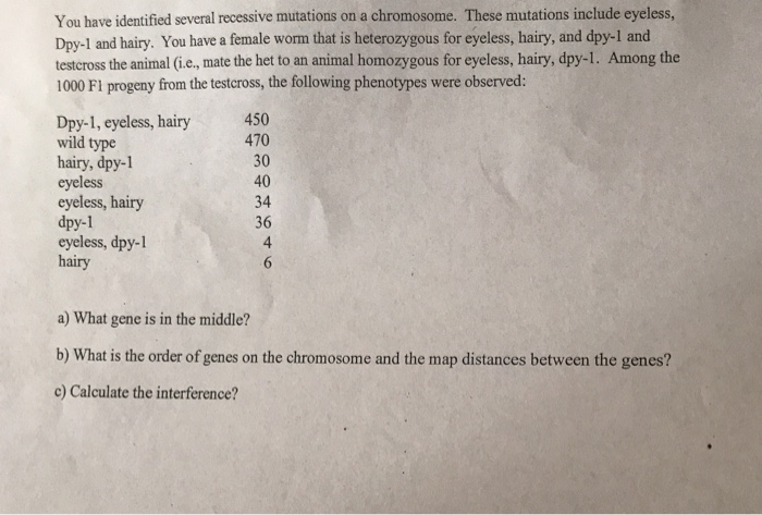 Question: You have identified several recessive mutations on a chromosome. These mutations include eyeless,...