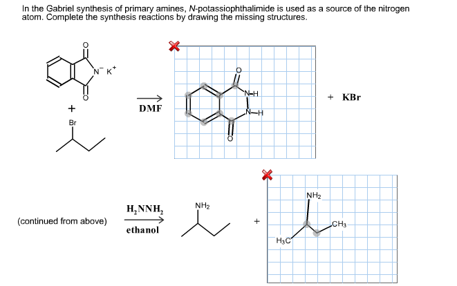 Gabriel synthesis complete the synthesis of reactions in the image below picture