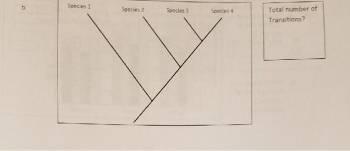 Question: 10. use the follcwine data table to map the transitions required by the hypothesized cladogram on...