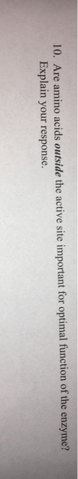 Question: 10. Are amino acids outside the active site important for optimal function of th e enzyme? Explai...