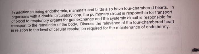 Question: In addition to being endothermic, mammals and birds also have four-chambered hearts. In organisms...