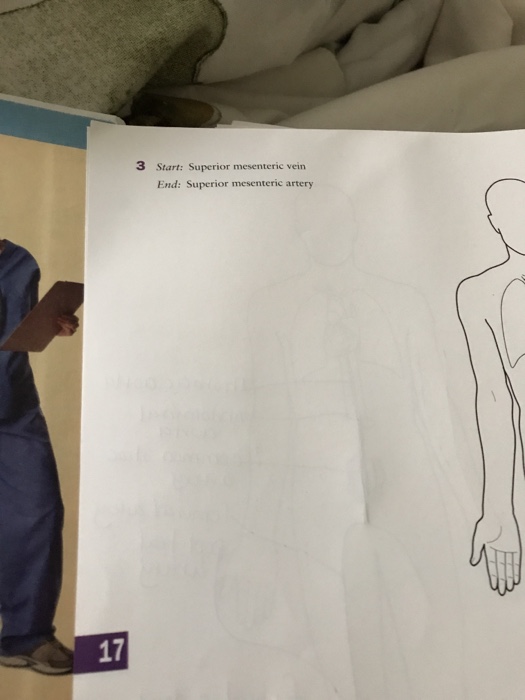 Question: Start: Superior mesenteric vein  End: Superior mesenteric artery