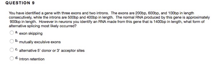 Question: You have identified a gene with three exons and two introns. The exons are 200bp, 600bp, and 100b...