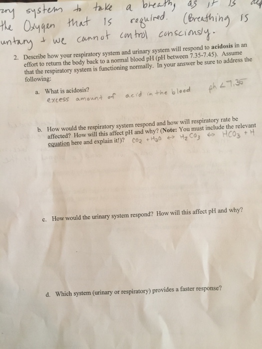 Question: Describe how your respirator, system and urinary system will respond to acidosis in an effort to ...