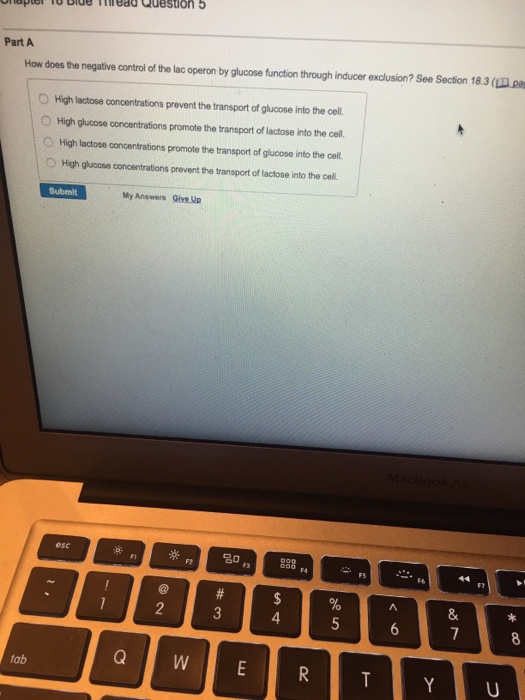 Question: How does the negative control of the lac operon by glucose function through inducer exclusion? Se...