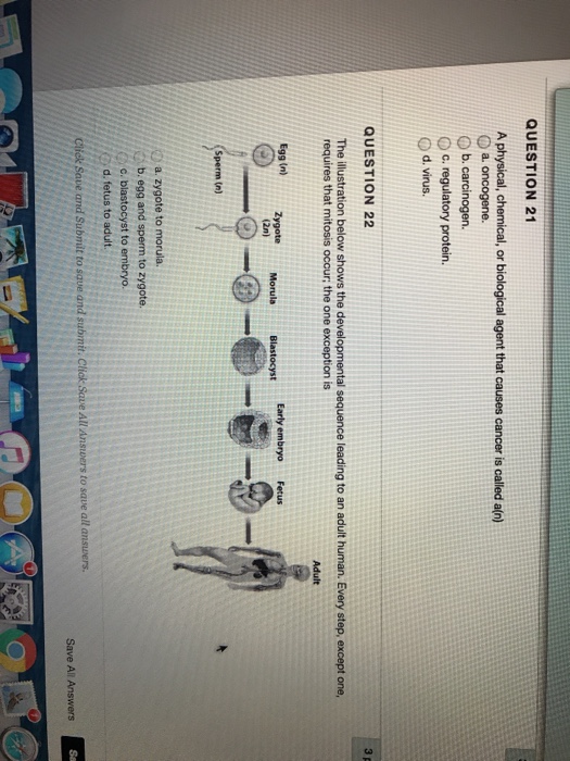 Question: QUESTION 21 A physical, chemical, or biological agent that causes cancer is called a(n) D a. onco...