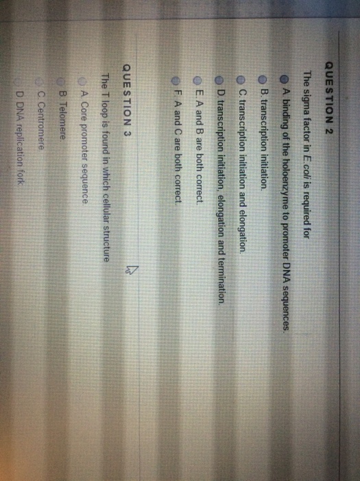 Question: The sigma factor in E.coli is required for  A. binding of the holoenzyme to promoter DNA sequence...