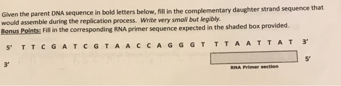Question: Given the parent DNA sequence in bold letters below, fill in the complementary daughter strand se...