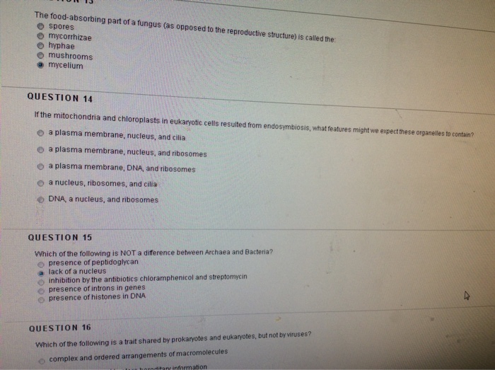 The work of art in the age of mechanical reproduction essay image