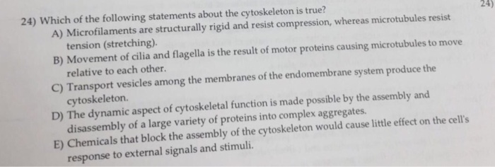 Cytoskeleton structure picture