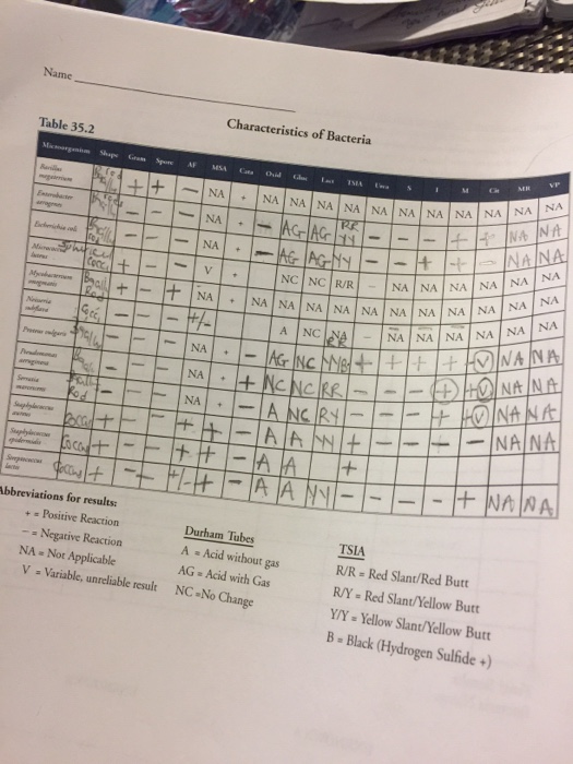 Question: Please I need help with my flow chart. I am writing out the firstvertical line which are the mic...