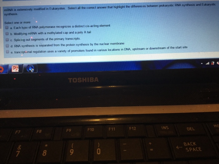 Question: MRNA is extensively modified in Eukaryotes. Select synthesis all the correct answer that highligh...