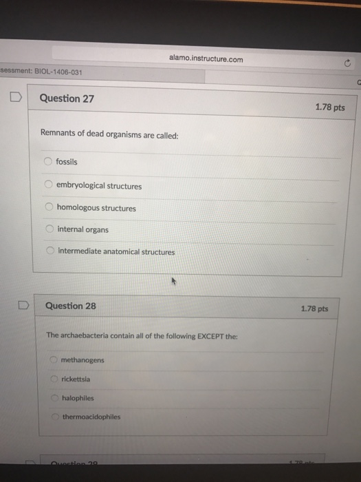 Thermoacidophiles essay picture