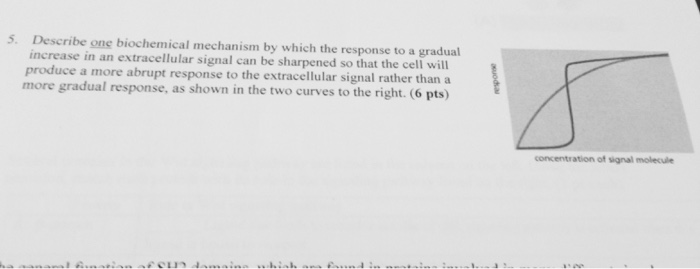Question: Describe one biochemical mechanism by which the response to a gradual increase in an extracellula...