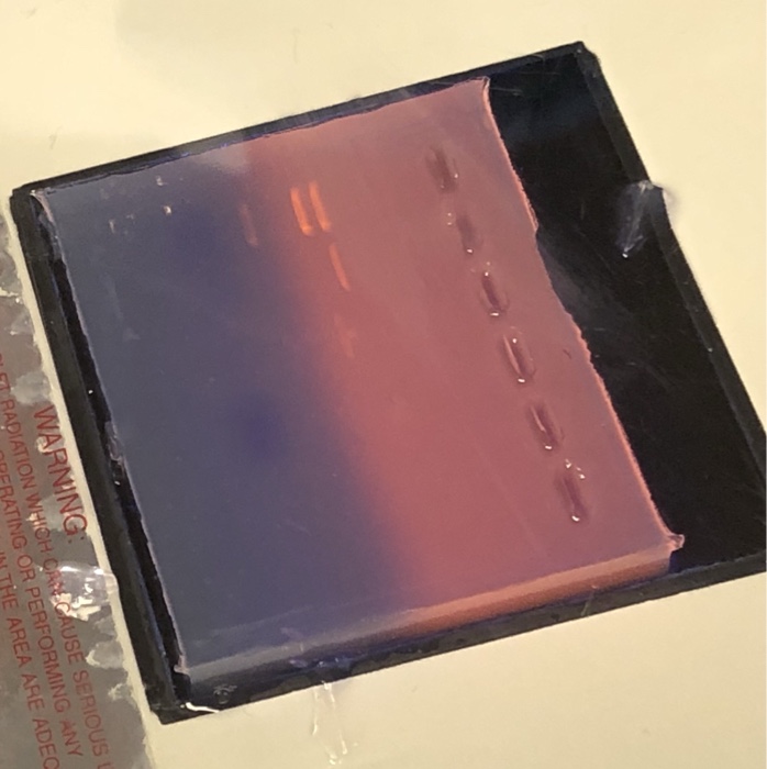 Question: LAB #13 USING DNA TO IDENTIFY MICROORGANISMS final Microbiology lab you must determine what infec...