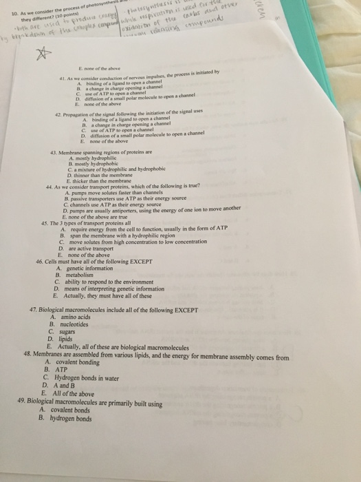 None provided43 essay 06 image