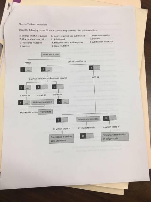 Question: Chapter 7-Point Mutations Using the following terms, fill in the concept map that describes point...