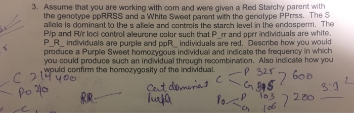 Question: 3. Assume that you are working with corn and were given a Red Starchy parent with the genotype pp...