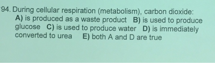Question: During cellular respiration (metabolism), carbon dioxide:  A) is produced as a waste product  B) ...