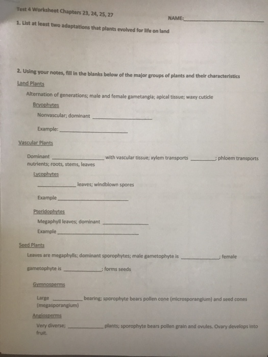 Solved: List At Least Two Adaptations That Plants Evolved | Chegg.com