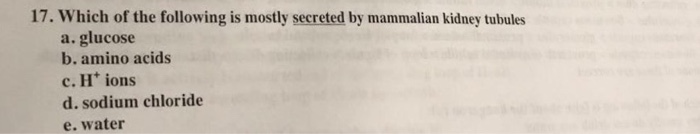 Question: Which of the following is mostly secreted by mammalian kidney tubules  a. glucose  b. amino acids...