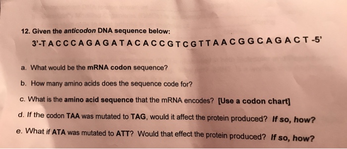 Question: 12. Given the anticodon DNA sequence below: CGGCAGACT-5' a. What would be the mRNA codon sequence...