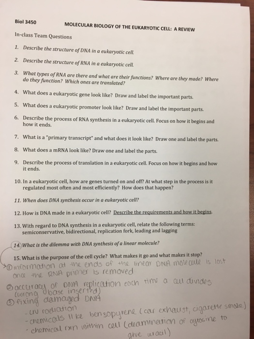 Biology critical thinking questions and answers picture