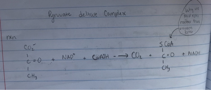 Question: In the pyruvate deltase complex (or wherever) why is itpreferable to use a thioester instead of ...