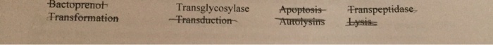 Question: Whatare the correct answers there is also a word bank