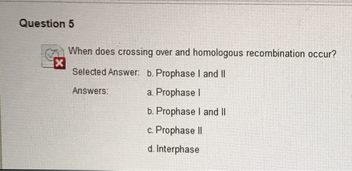 Question: Question 5 When does crossing over and homologous recombination occur? Selected Answer. b. Propha...