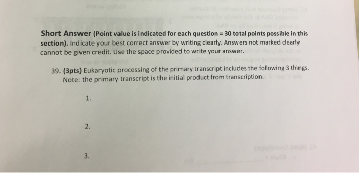 Scholarship essay examples image