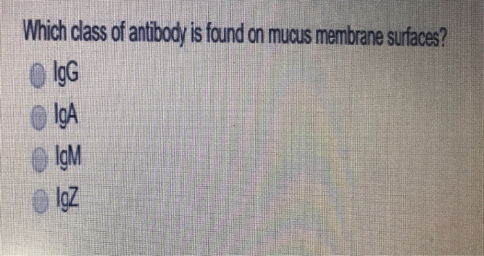 Question: Which class of antibody is found on mucus membrane surfaces? ● IgG IgM