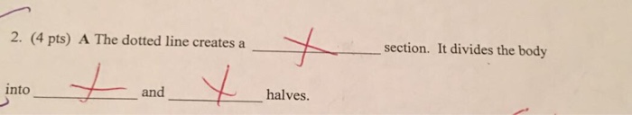 Question: A The dotted line creates a ___section. It divides the body into___and___halves.