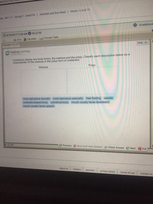 Question: Ity 111. spring17 DANA TA l Activities and Due Dates I weeks 12 and 13 fuo Grade bool 4/10/2017 1...