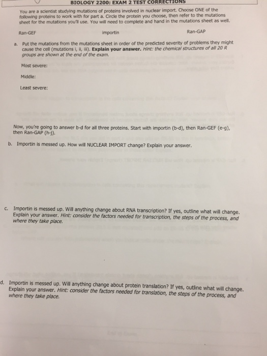 Question: Answer B, C, &amp; D for all 3 proteins (importin, RAN-GEF,RAN-GAP