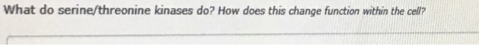 Question: What do serine/threonine kinases do? How does this change function within the cell?