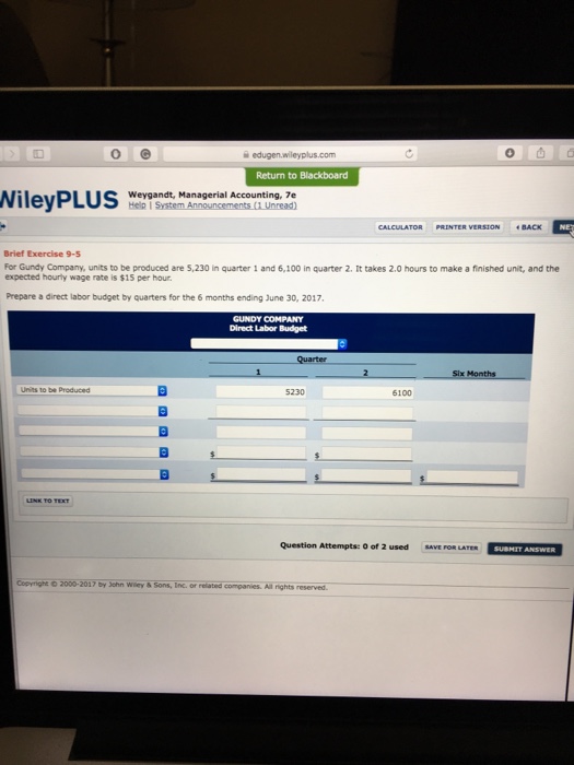 Wileyplus College Weygandt 19