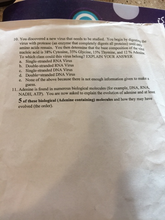 Question: Swer the to answer the question in numerical order. The final copy needs to be with 1" margins. I...