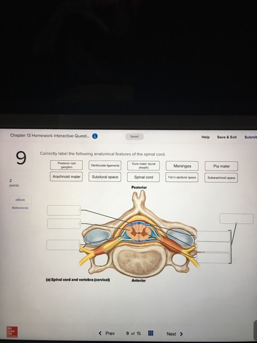 How To Save Ebook From Chegg Coupon