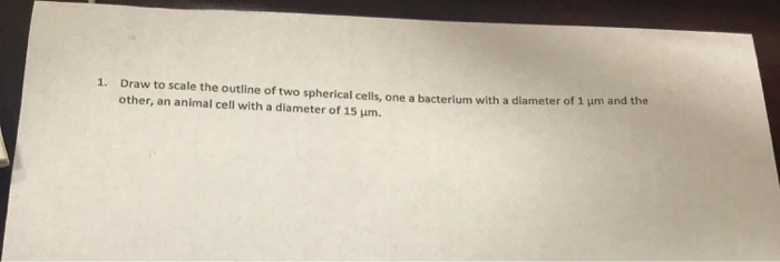 Question: Draw to scale the outline of two spherical cells, one a bacterium with a diameter of 1 mu m and t...