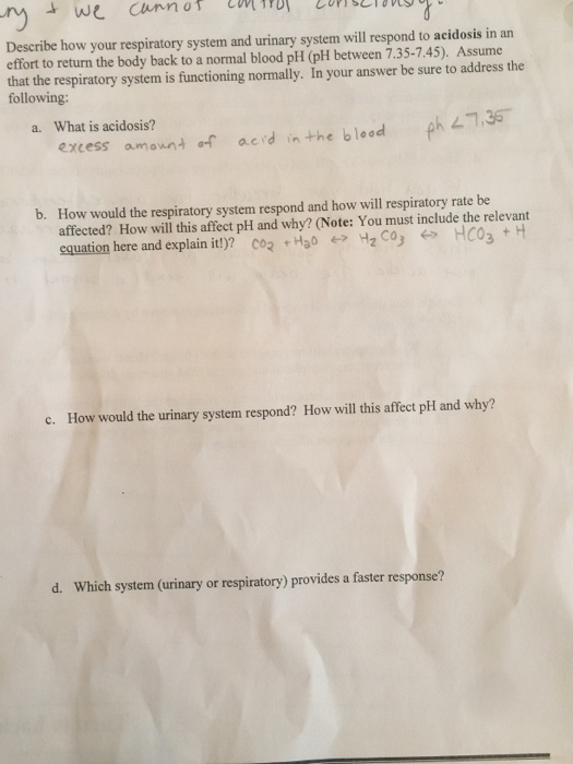Question: Describe how your respiratory system and urinary system will respond to acidosis in an effort to ...